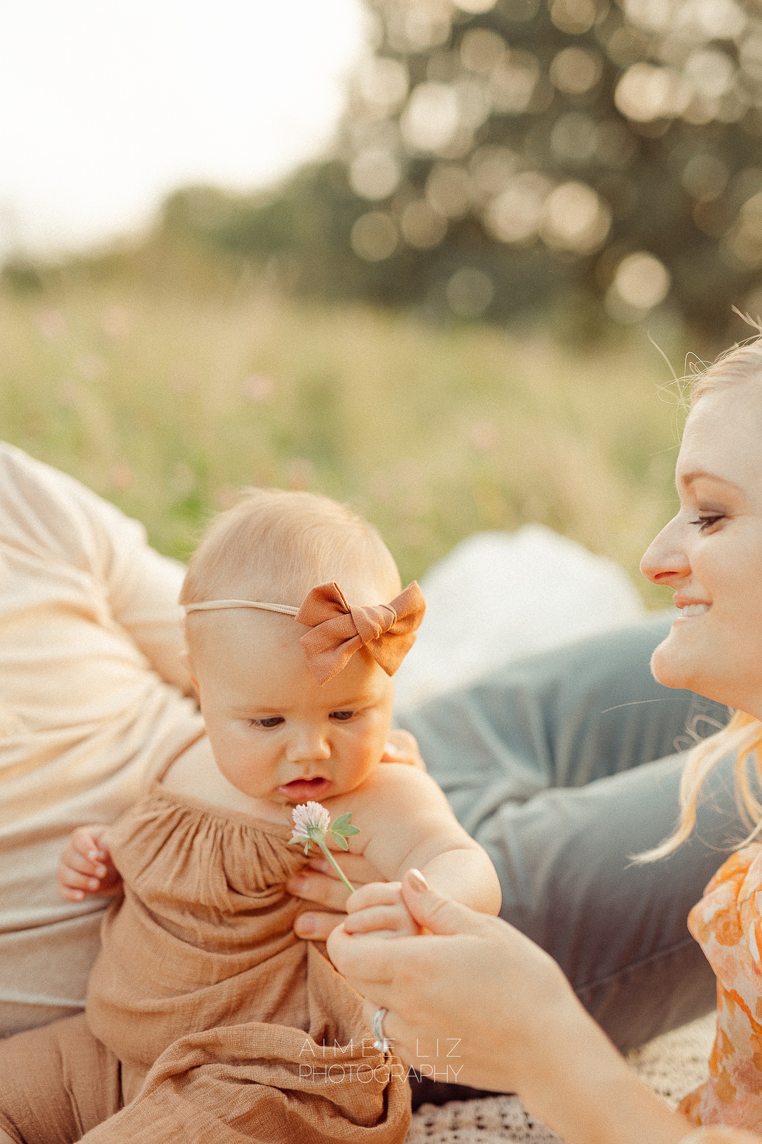 gibbet hill family session