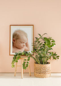 professional picture frame
