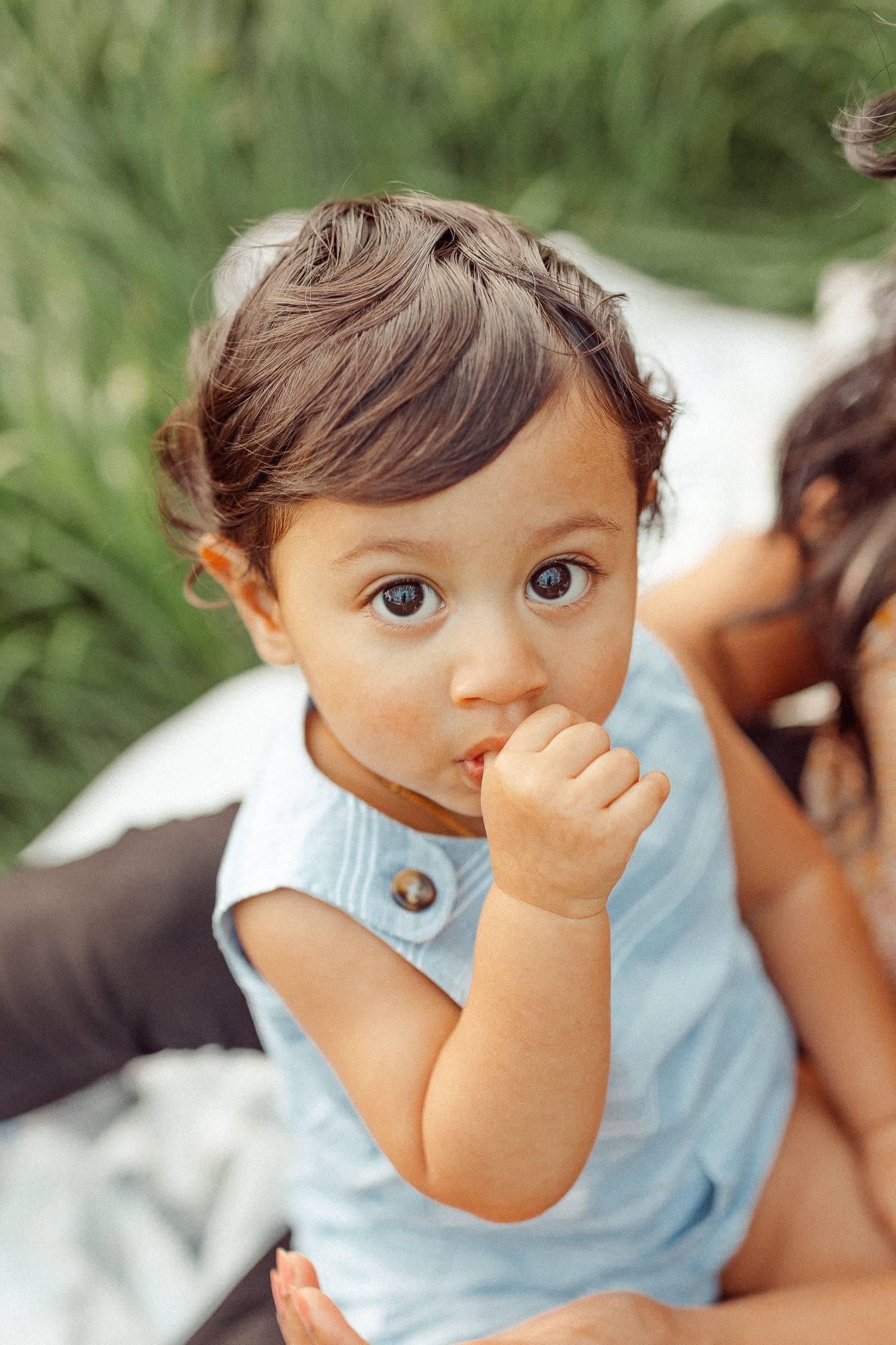 groton family photographer