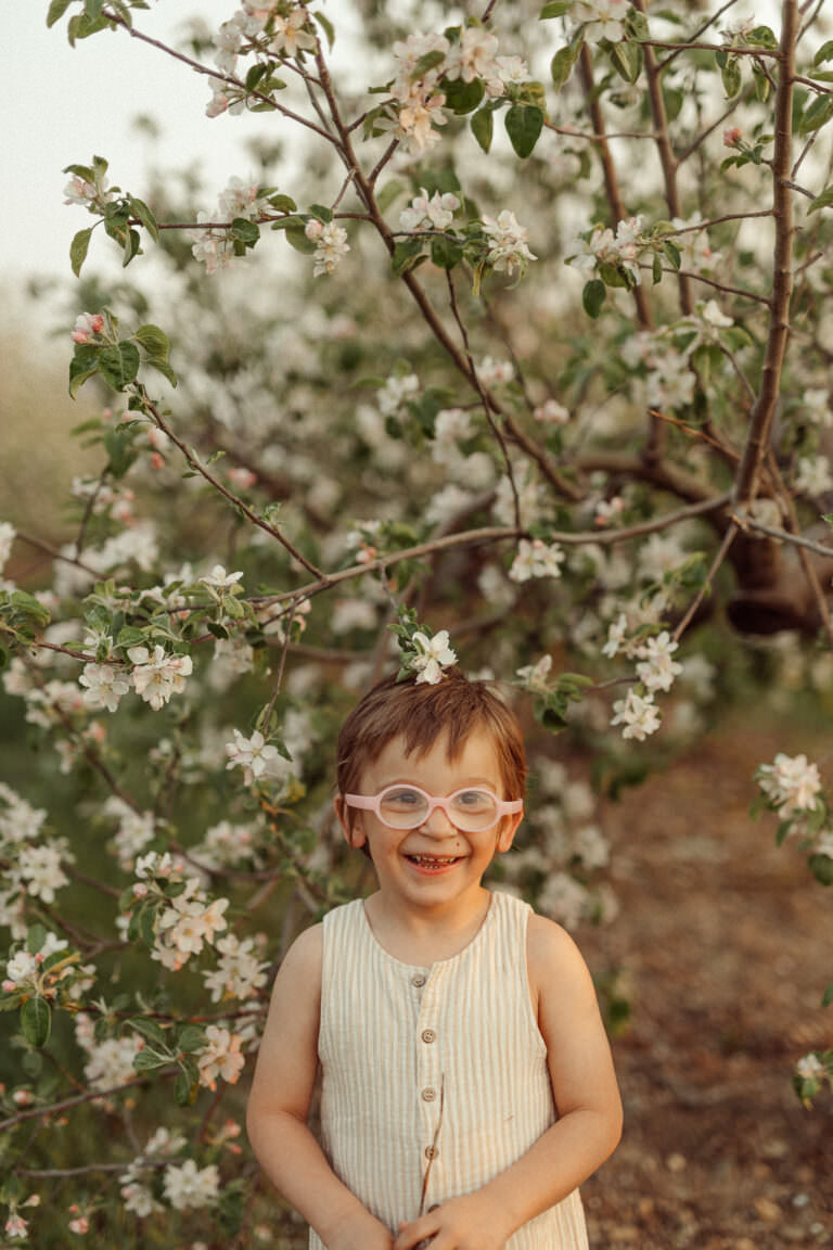 sholan farm apple blossoms